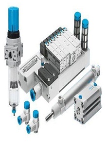 lorem ippsum dolor dummy