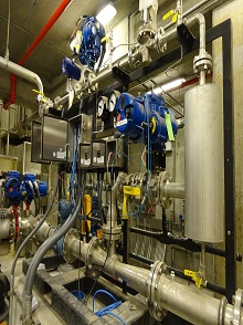 lorem ippsum dolor dummy