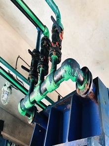 lorem ippsum dolor dummy