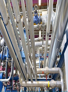 lorem ippsum dolor dummy