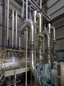 lorem ippsum dolor dummy