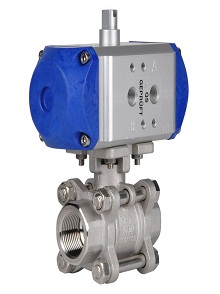 lorem ippsum dolor dummy